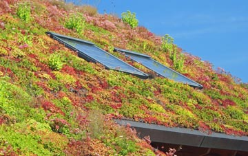 Avernish living roof systems